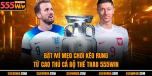 Bật Mí Mẹo Chơi Kèo Rung Từ Cao Thủ Cá Độ Thể Thao 555Win