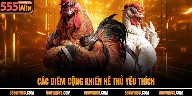 Các điểm cộng khiến kê thủ yêu thích