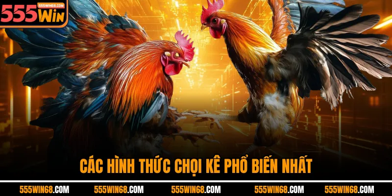 Các hình thức chọi kê phổ biến nhất
