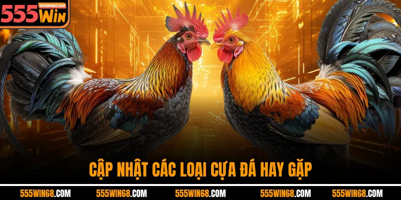 Cập nhật các loại cựa đá hay gặp