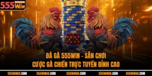 Đá Gà 555Win - Sân Chơi Cược Gà Chiến Trực Tuyến Đỉnh Cao