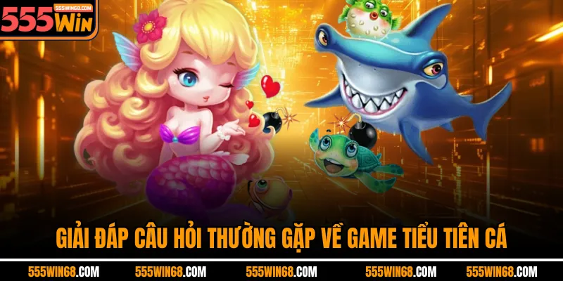 Giải đáp câu hỏi thường gặp về game Tiểu Tiên Cá