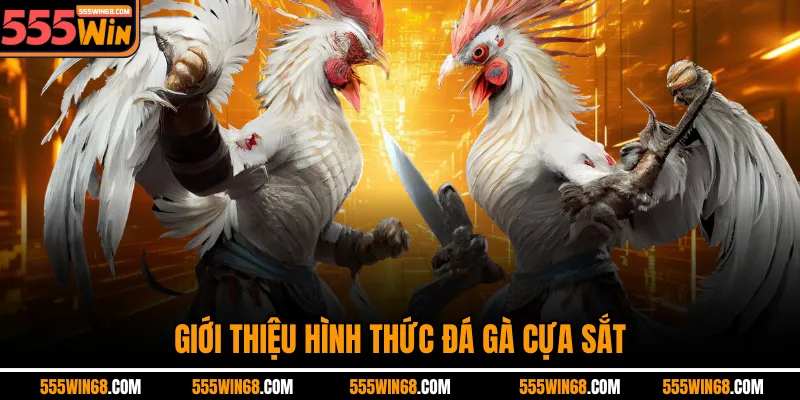 Giới thiệu hình thức đá gà cựa sắt