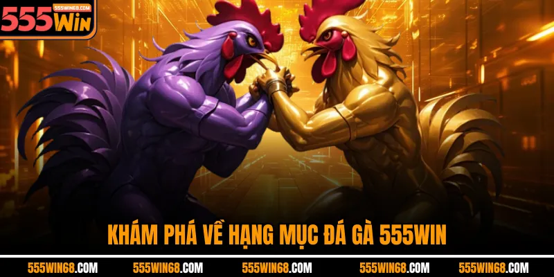 Khám phá về hạng mục đá gà 555Win