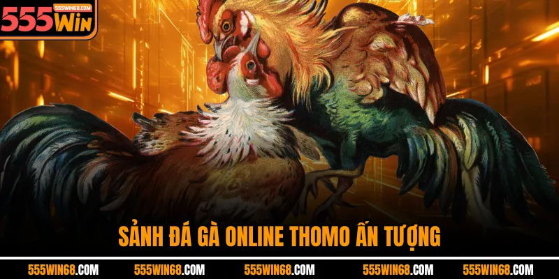 Sảnh đá gà online Thomo ấn tượng